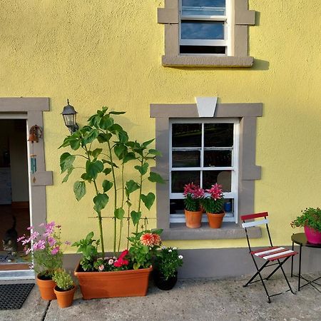 Felicity Cottage Kiltegan Exteriör bild