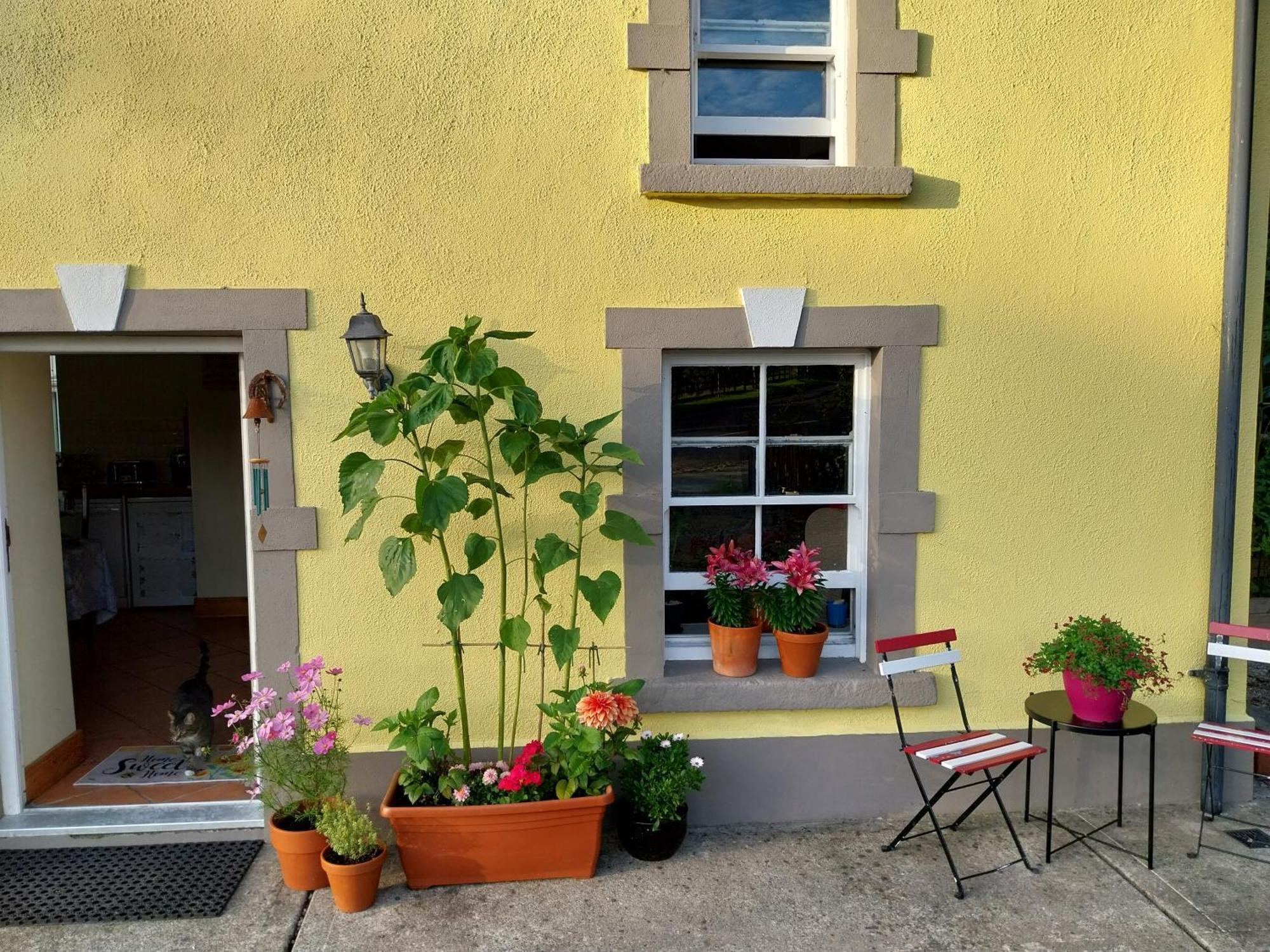 Felicity Cottage Kiltegan Exteriör bild